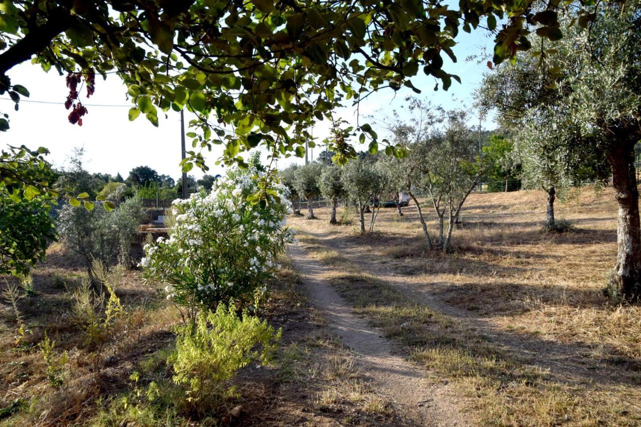 Ola Linda - Casa De Campo - Castelo de Vide Bagian luar foto